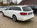 Mercedes-Benz E 220 CDI T, LED, Leder, AHK, Scheckheftgepflegt Blanc - thumbnail 3