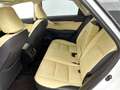 Lexus NX 300h AWD President Line Blanco - thumbnail 20