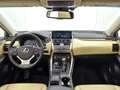 Lexus NX 300h AWD President Line Blanco - thumbnail 5