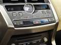 Lexus NX 300h AWD President Line Blanco - thumbnail 10