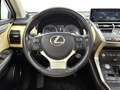Lexus NX 300h AWD President Line Blanco - thumbnail 21