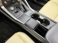 Lexus NX 300h AWD President Line Blanco - thumbnail 12