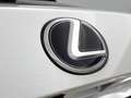 Lexus NX 300h AWD President Line Blanco - thumbnail 37