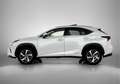 Lexus NX 300h AWD President Line Blanco - thumbnail 3