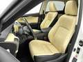 Lexus NX 300h AWD President Line Blanco - thumbnail 19