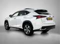 Lexus NX 300h AWD President Line Blanco - thumbnail 16