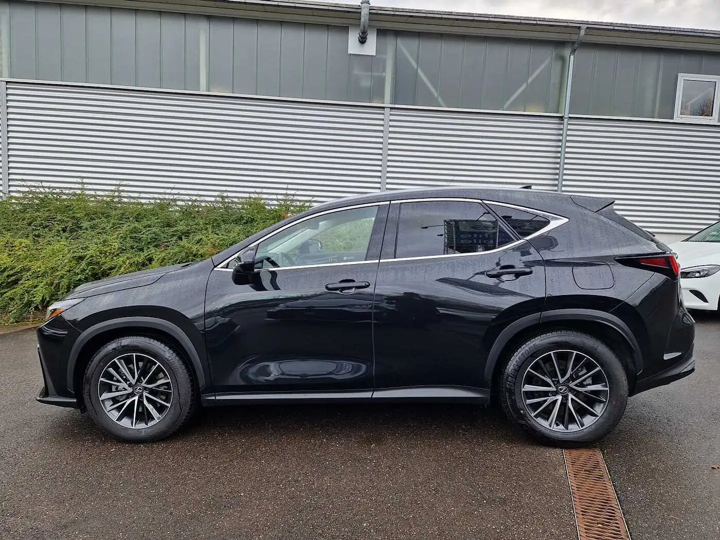 Lexus NX 450h+ E-FOUR Executive Line HUD/Leder/Navi Noir - 2