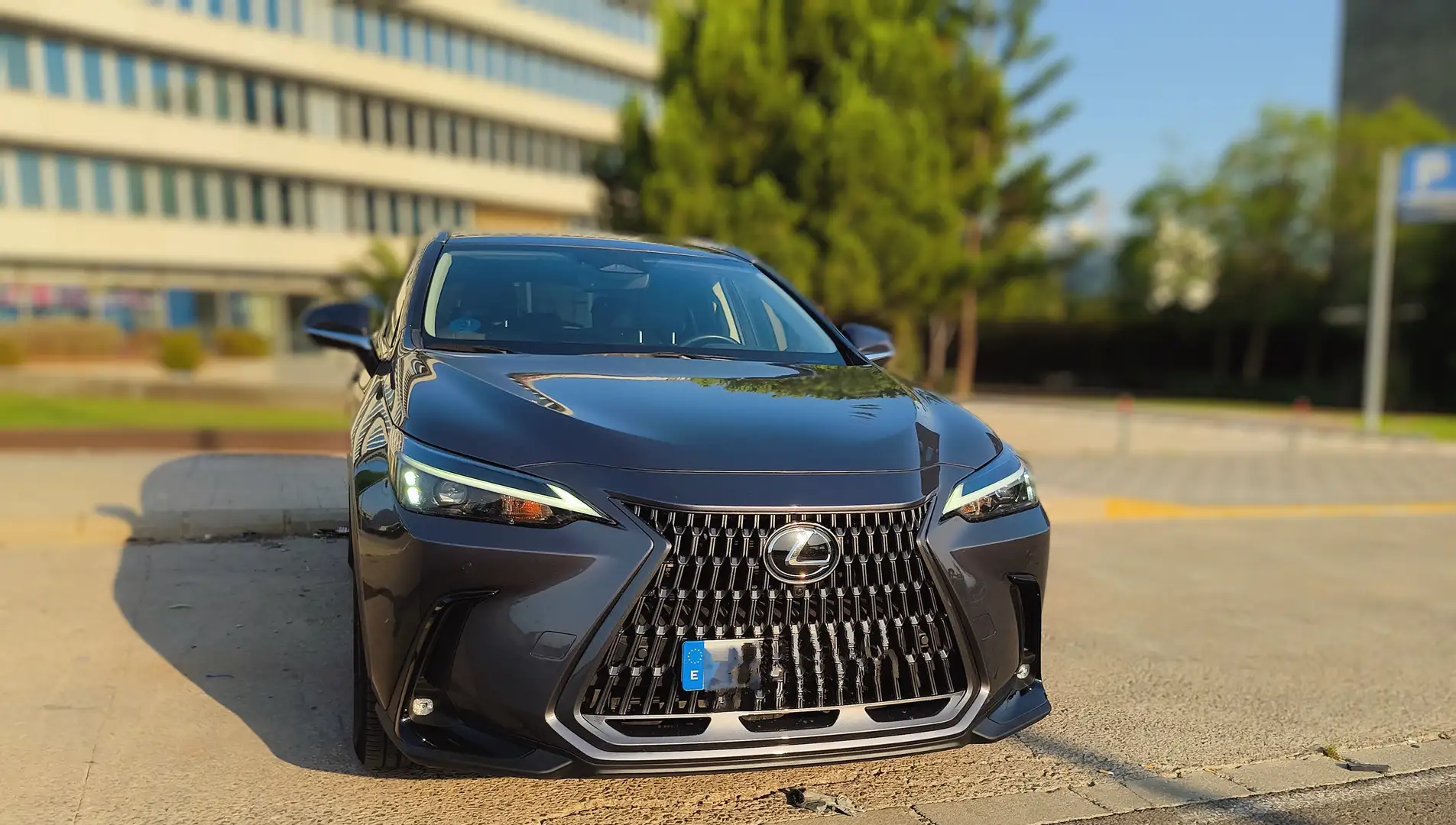 Lexus NX 450h+ Executive 4WD - 1