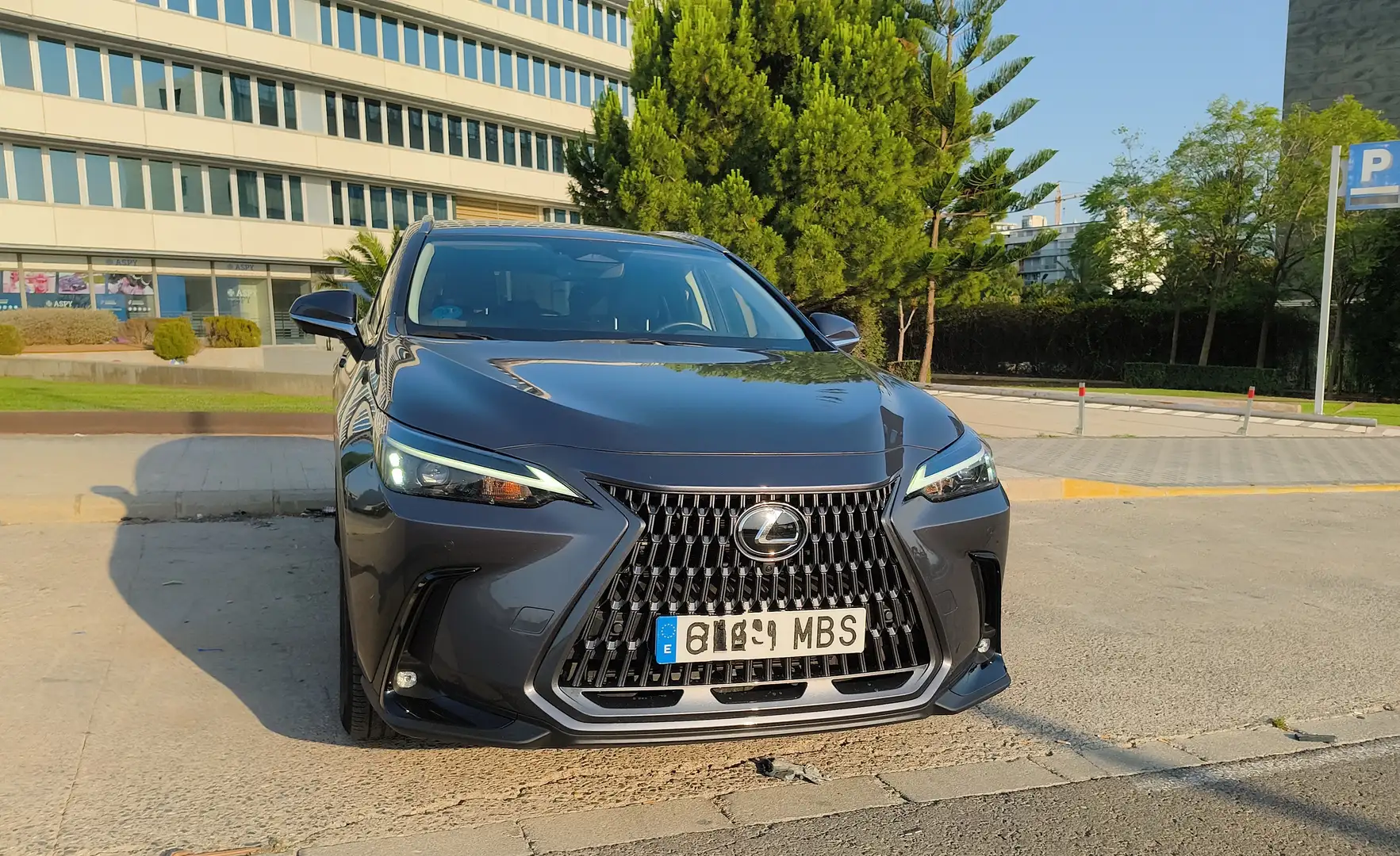 Lexus NX 450h+ Executive 4WD - 2