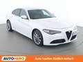 Alfa Romeo Giulia 2.2 JTDM Super Weiß - thumbnail 8