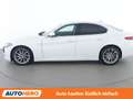 Alfa Romeo Giulia 2.2 JTDM Super Weiß - thumbnail 3
