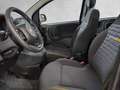 Fiat Panda 4x2 FireFly Hybrid 70 Pandina Schwarz - thumbnail 6