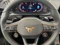 CUPRA Terramar VZ 4Drive Pano+AKEBONO+Matrix+AHK+Stdhz+20 Zoll... Negru - thumbnail 12