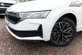 Skoda Octavia Combi Sportline DSG Sportl Matrix Nav ACC Kessy... Weiß - thumbnail 5