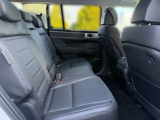 Hyundai Santa Fe view 13