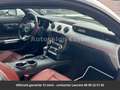 Ford Mustang GT Premium Tout compris hors homologation 4500e Blanc - thumbnail 15