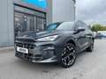 CUPRA Terramar 2.0 TSI 4Drive VZ *Matrix-LED*HuD*Pano* Gris - thumbnail 29