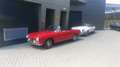 Fiat 1500 1600s cabriolet motore OSCA Rot - thumbnail 6