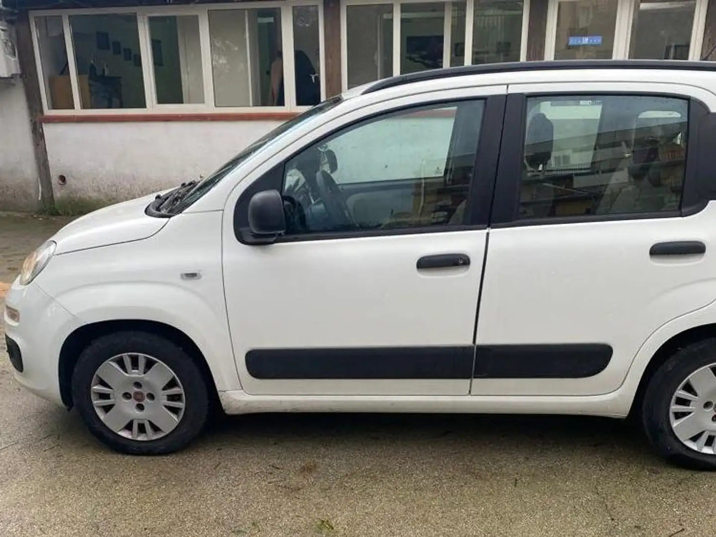 Fiat New Panda Weiß - 2