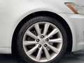 Lexus IS 250 IS 250 Pack Executive Auto Silber - thumbnail 23