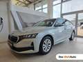 Skoda Octavia Selection TDI DSG Silber - thumbnail 1