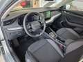 Skoda Octavia Selection TDI DSG Silber - thumbnail 5