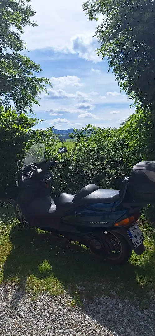 Suzuki Burgman 250 Verde - 1
