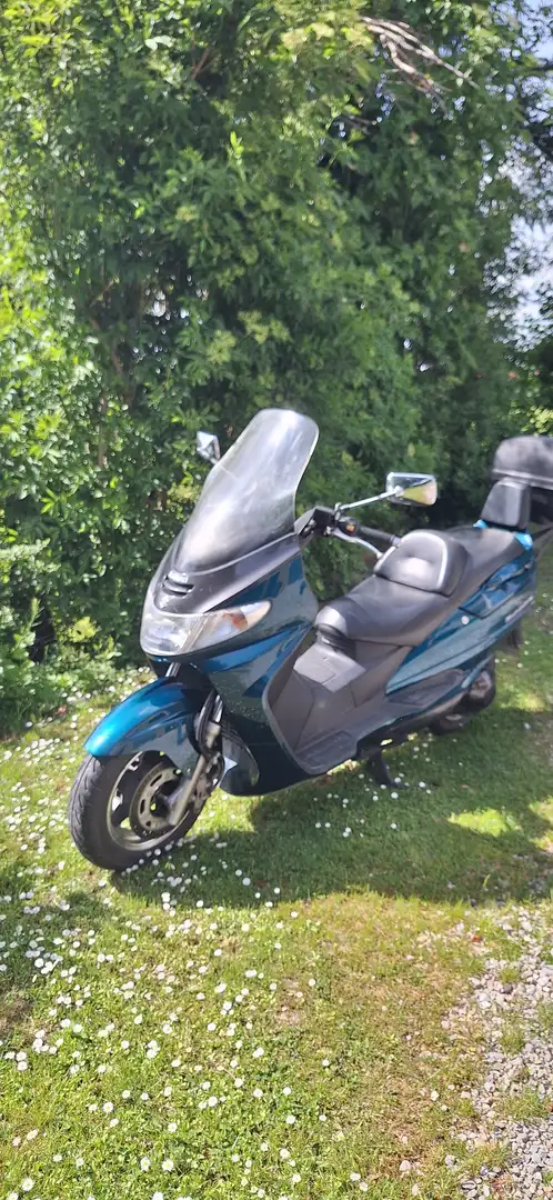 Suzuki Burgman 250 Verde - 2