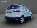 Ford EcoSport 1.5 tdci Plus s&s 100cv my18 Blanc - thumbnail 5