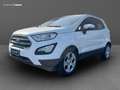 Ford EcoSport 1.5 tdci Plus s&s 100cv my18 Blanc - thumbnail 1