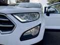 Ford EcoSport 1.5 tdci Plus s&s 100cv my18 Blanc - thumbnail 19