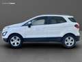Ford EcoSport 1.5 tdci Plus s&s 100cv my18 Blanc - thumbnail 8