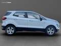 Ford EcoSport 1.5 tdci Plus s&s 100cv my18 Blanc - thumbnail 4