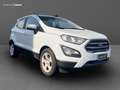 Ford EcoSport 1.5 tdci Plus s&s 100cv my18 Blanc - thumbnail 3