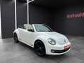 Volkswagen Beetle Cabriolet Exclusive Sport/Bi Xenon/Keyles Weiß - thumbnail 4