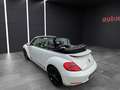 Volkswagen Beetle Cabriolet Exclusive Sport/Bi Xenon/Keyles Weiß - thumbnail 13