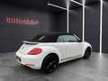 Volkswagen Beetle Cabriolet Exclusive Sport/Bi Xenon/Keyles Weiß - thumbnail 10