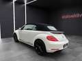 Volkswagen Beetle Cabriolet Exclusive Sport/Bi Xenon/Keyles Weiß - thumbnail 7