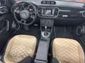 Volkswagen Beetle Cabriolet Exclusive Sport/Bi Xenon/Keyles Weiß - thumbnail 15