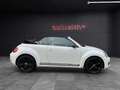 Volkswagen Beetle Cabriolet Exclusive Sport/Bi Xenon/Keyles Weiß - thumbnail 3