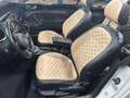 Volkswagen Beetle Cabriolet Exclusive Sport/Bi Xenon/Keyles Weiß - thumbnail 16