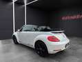 Volkswagen Beetle Cabriolet Exclusive Sport/Bi Xenon/Keyles Weiß - thumbnail 12