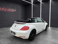 Volkswagen Beetle Cabriolet Exclusive Sport/Bi Xenon/Keyles Weiß - thumbnail 5