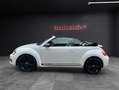 Volkswagen Beetle Cabriolet Exclusive Sport/Bi Xenon/Keyles Weiß - thumbnail 11