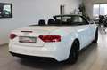 Audi A5 Cabriolet 2.0 TDI sport*S line*Navi* White - thumbnail 5