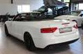Audi A5 Cabriolet 2.0 TDI sport*S line*Navi* White - thumbnail 4
