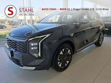 1,6 TGDI Silber DCT AUTO STAHL WIEN 21