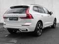 Volvo XC60 T6 AWD Plus Dark MATRIX ACC EL.HECK Weiß - thumbnail 4