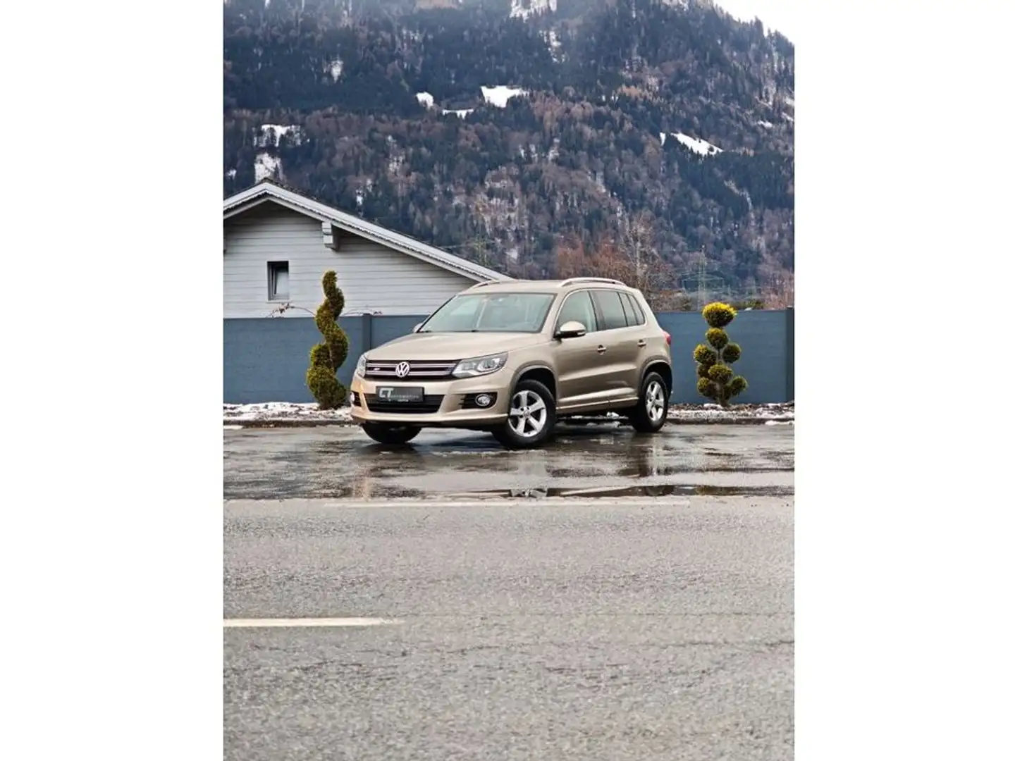 Volkswagen Tiguan 2,0 TDI BMT 4Motion Sport DSG Grau - 1
