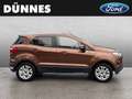 Ford EcoSport 1.0 EcoBoost TREND Braun - thumbnail 6